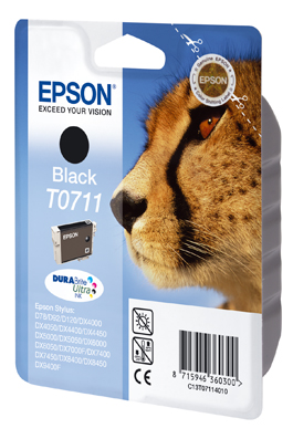 Epson ink